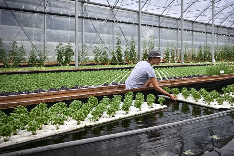 Agriculture Business Ideas for 2025