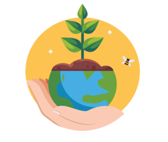 Sustainability Focus