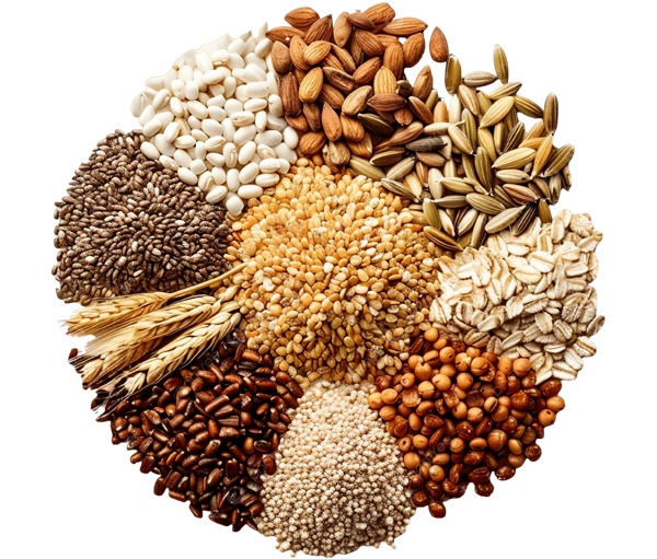 Cereal Crops