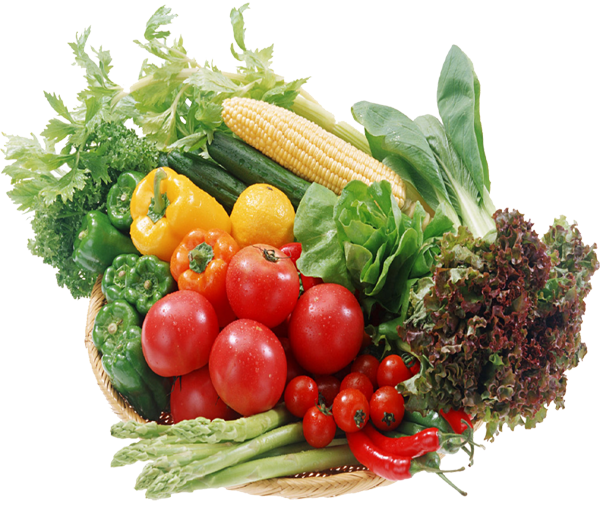 Vegetable Crops