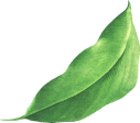 Why Choose Vardhnam Agro?